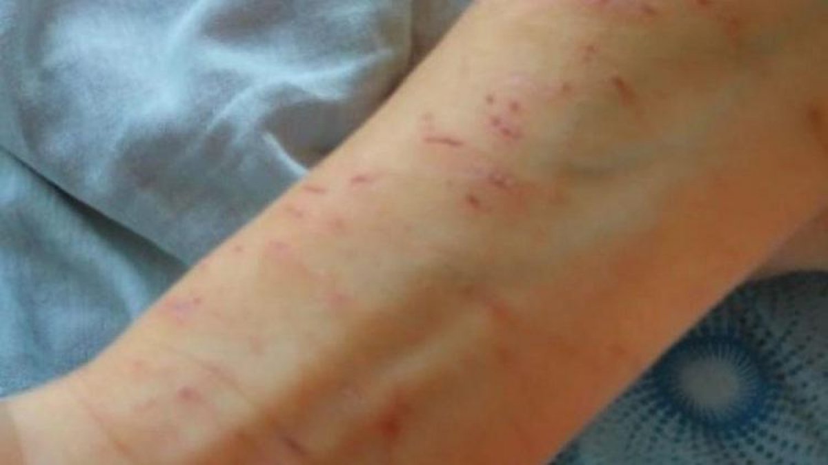 В Караганде за истязания шестилетнего мальчика осужден его отчим