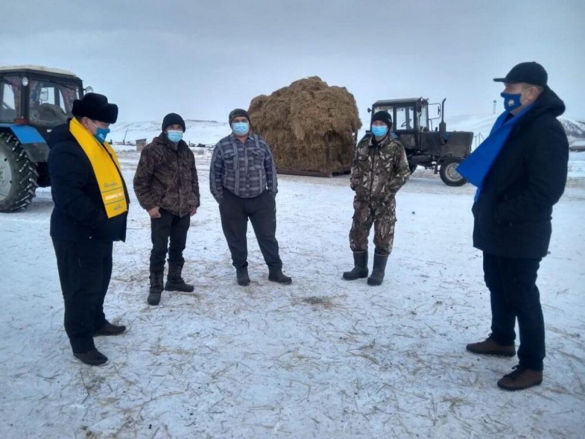 Кандидаты Костанайской области назвали семь приоритетных направлений предвыборной программы Nur Otan