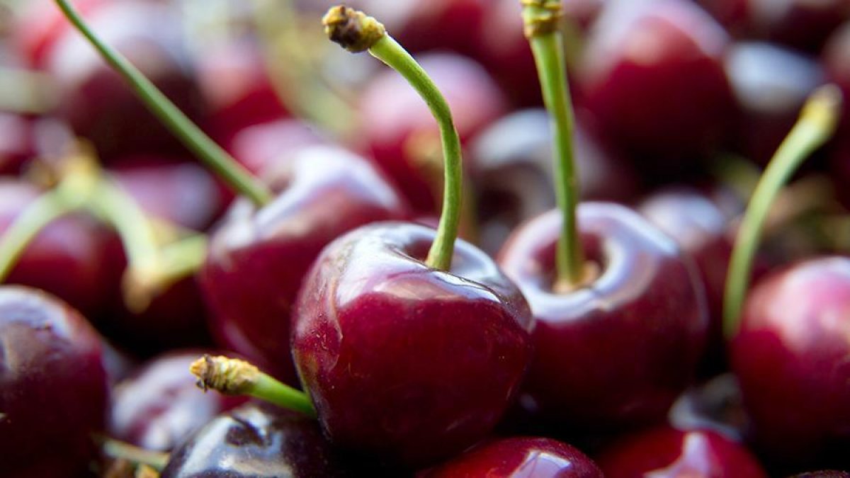 Полкило черешни продали за четыре миллиона тенге в Японии