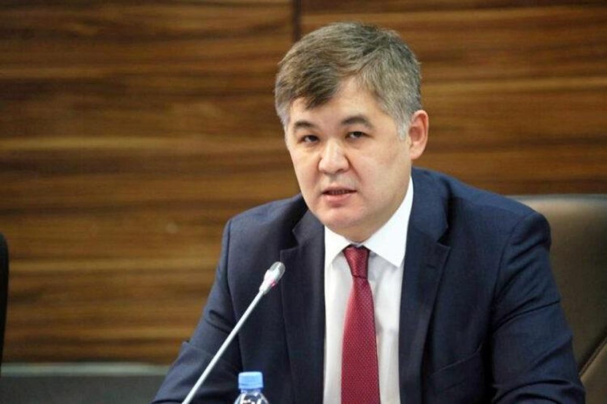 Экс-главе Минздрава Елжану Биртанову продлили арест