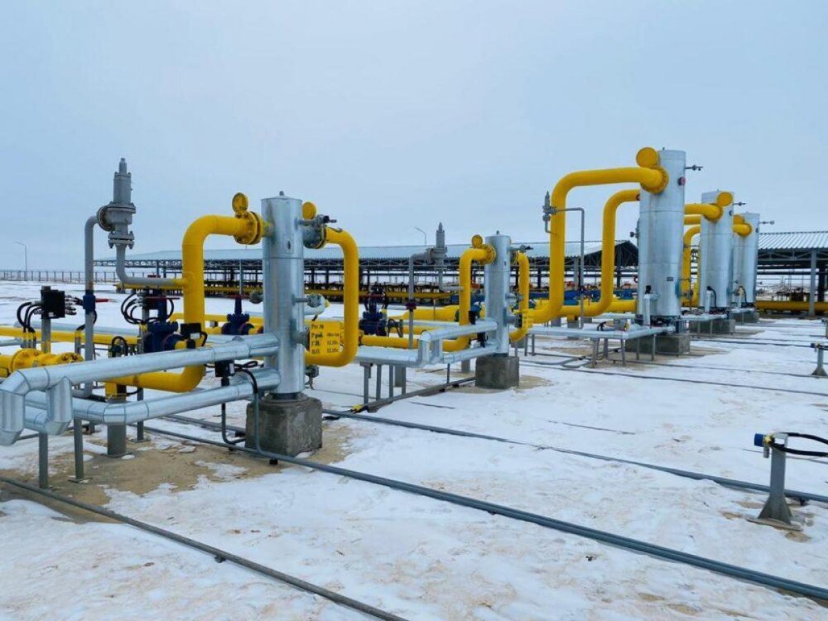 «Бозой» выходит на проектную мощность