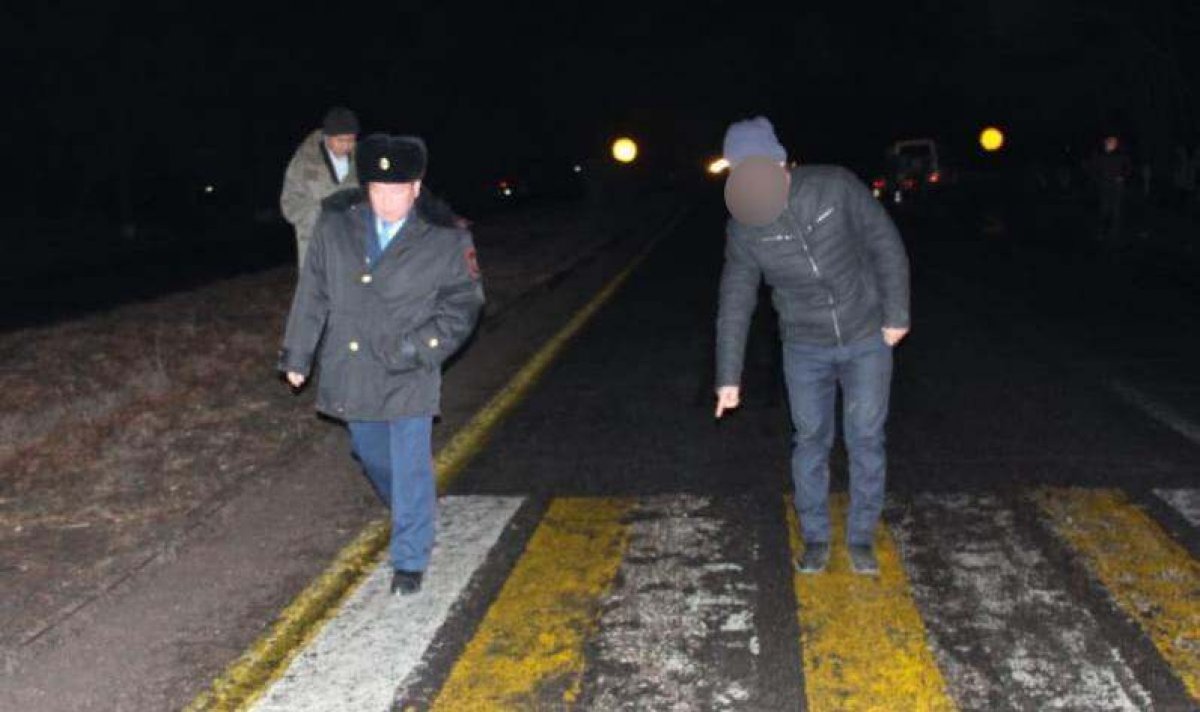 Мать с восьмилетним ребенком сбили насмерть на трассе в Алматинской области