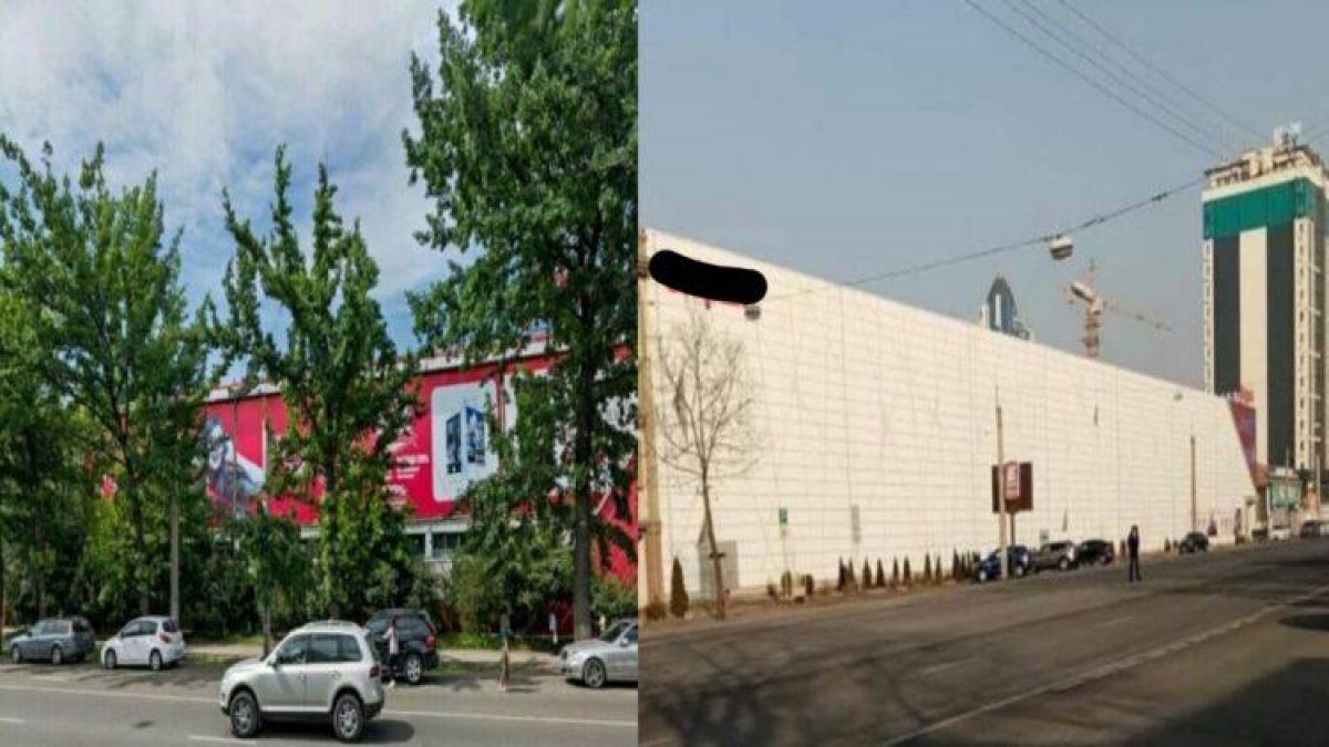 Чем закончилось дело о вырубке деревьев возле Sulpak