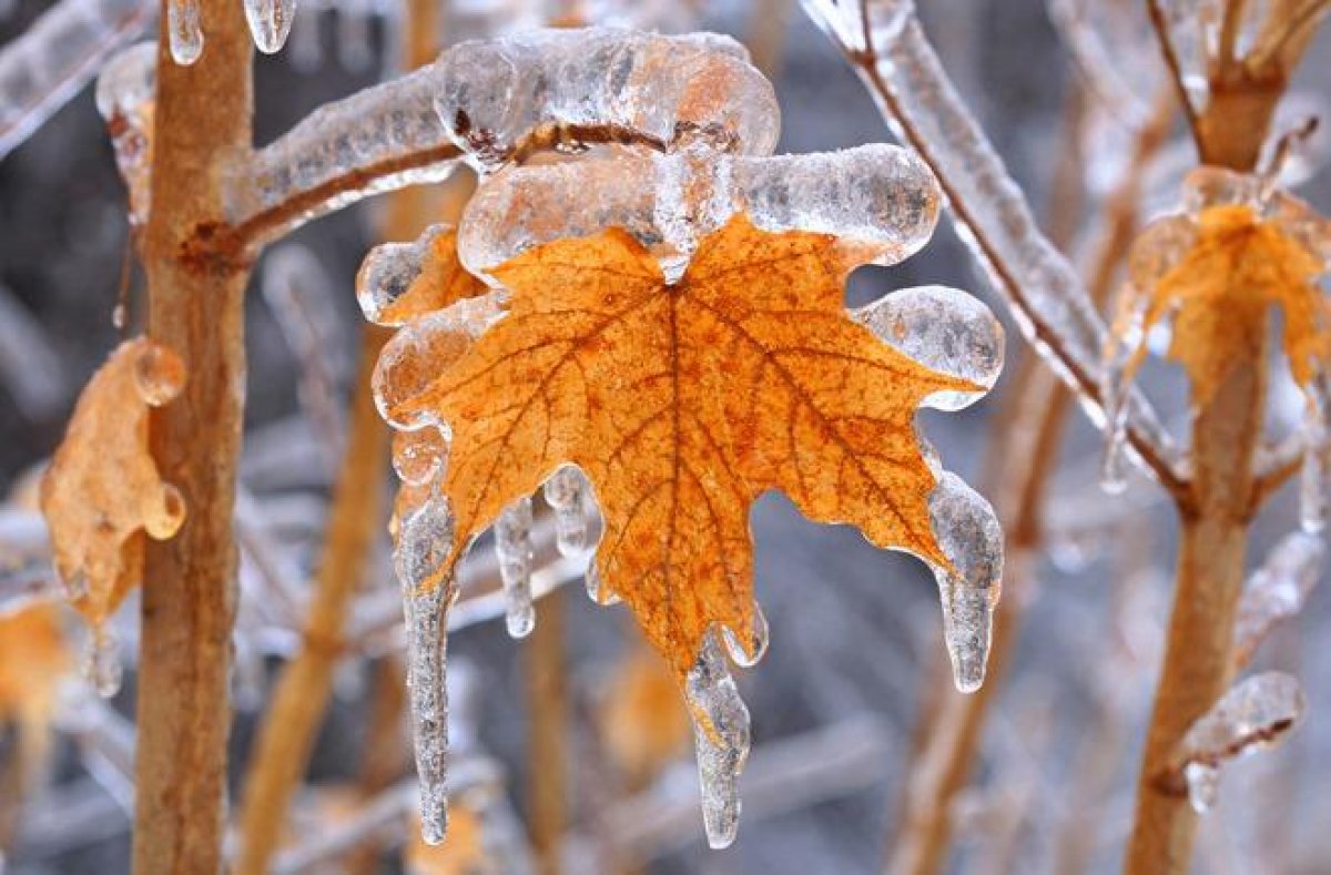 Мороз и гололед: в восьми областях Казахстана объявили штормовое предупреждение