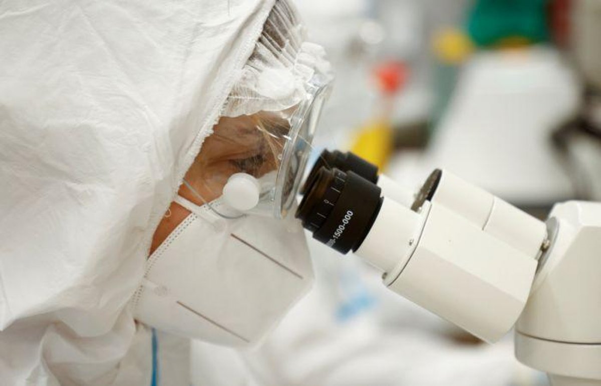 "Нигерийский" штамм коронавируса выявили в Италии. Врачи обеспокоены