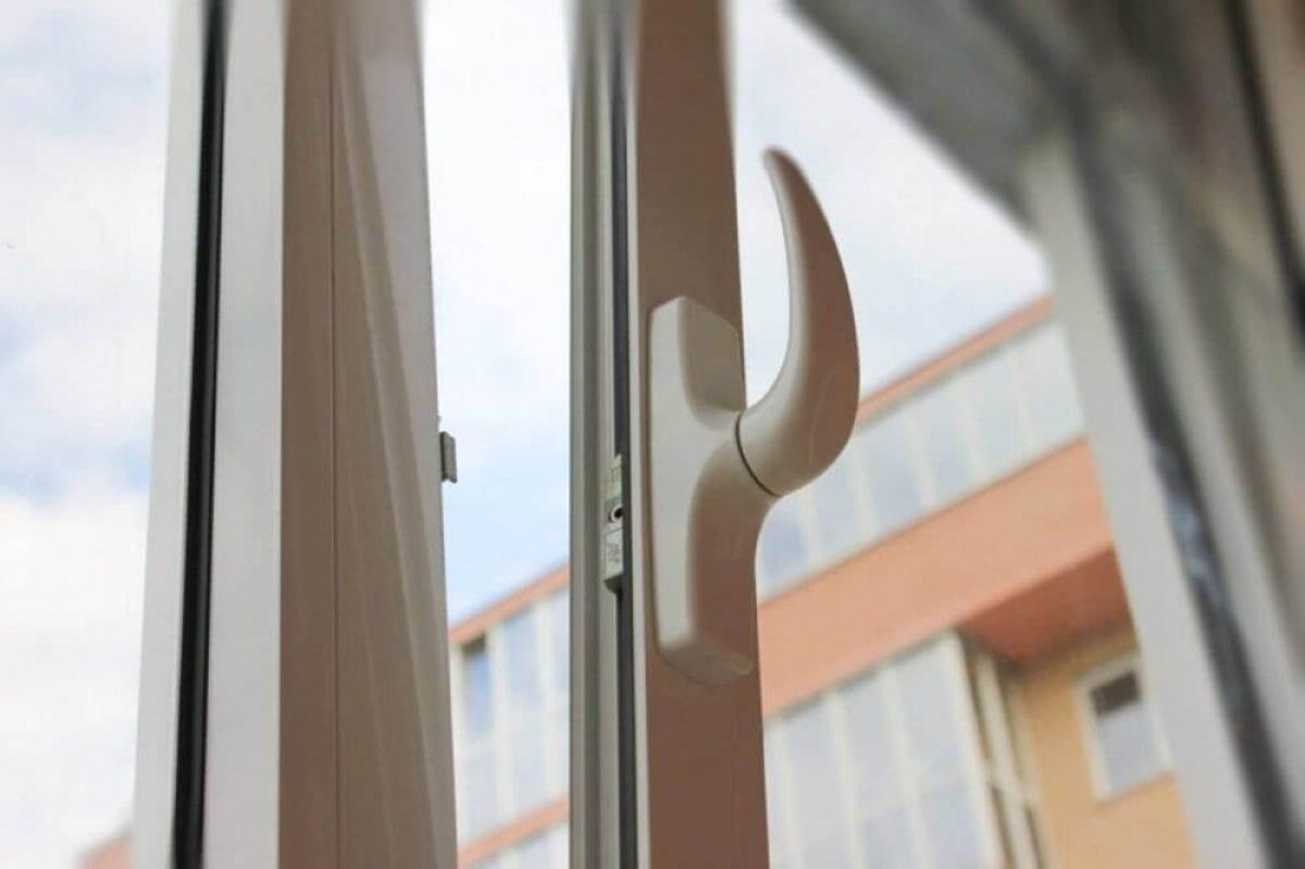 Тело искусанной собаками девочки нашли в Москве