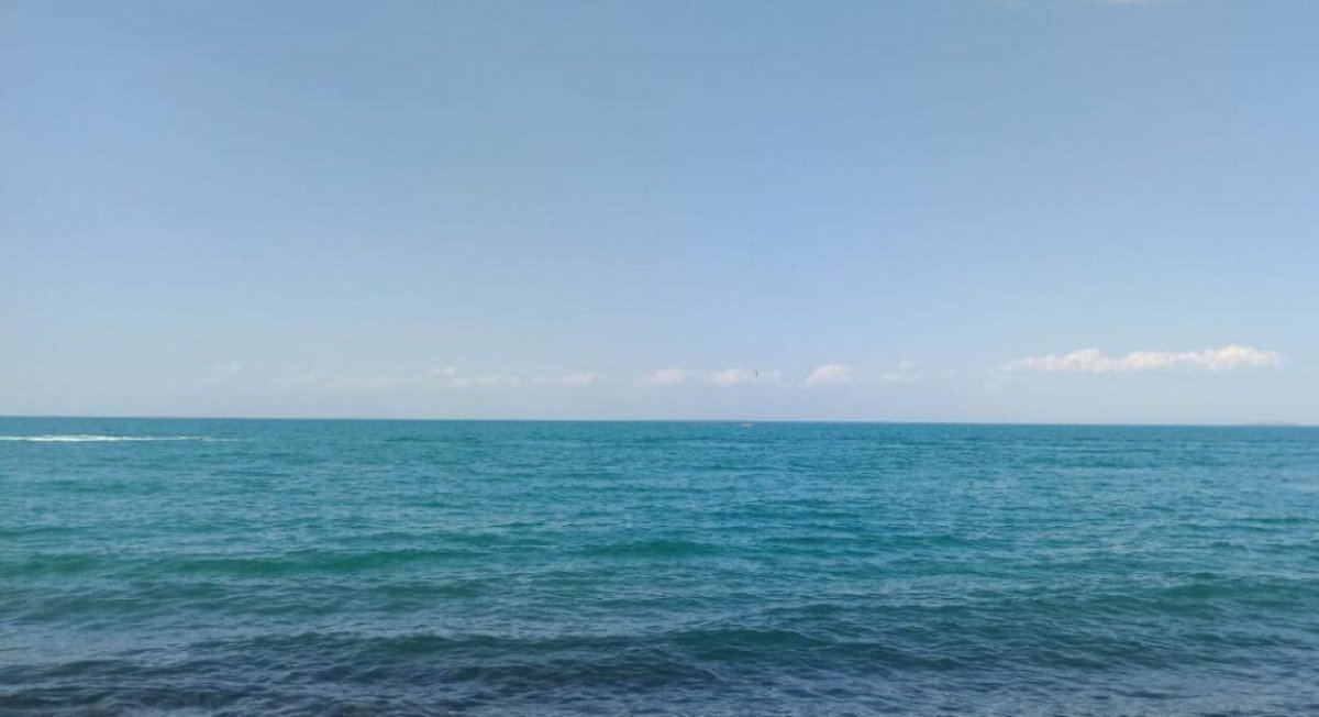 Акимат ВКО ответил на новость об осушении озера Алаколь