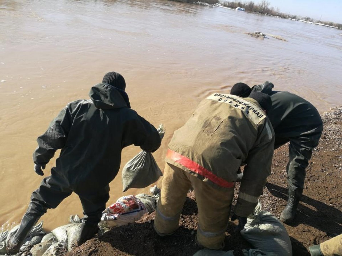 Паводки ожидаются в пяти областях Казахстана