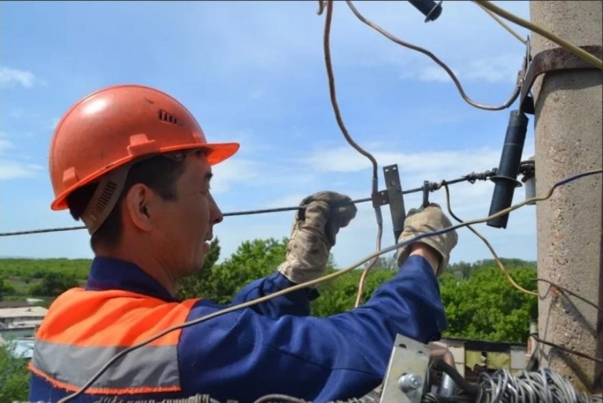 Как крыса оставила половину Караганды без света