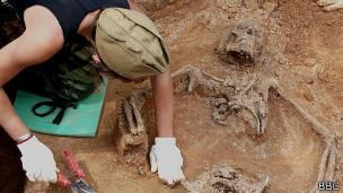 Историю казахского солдата, погибшего в битве под Ленинградом, рассказали поисковики