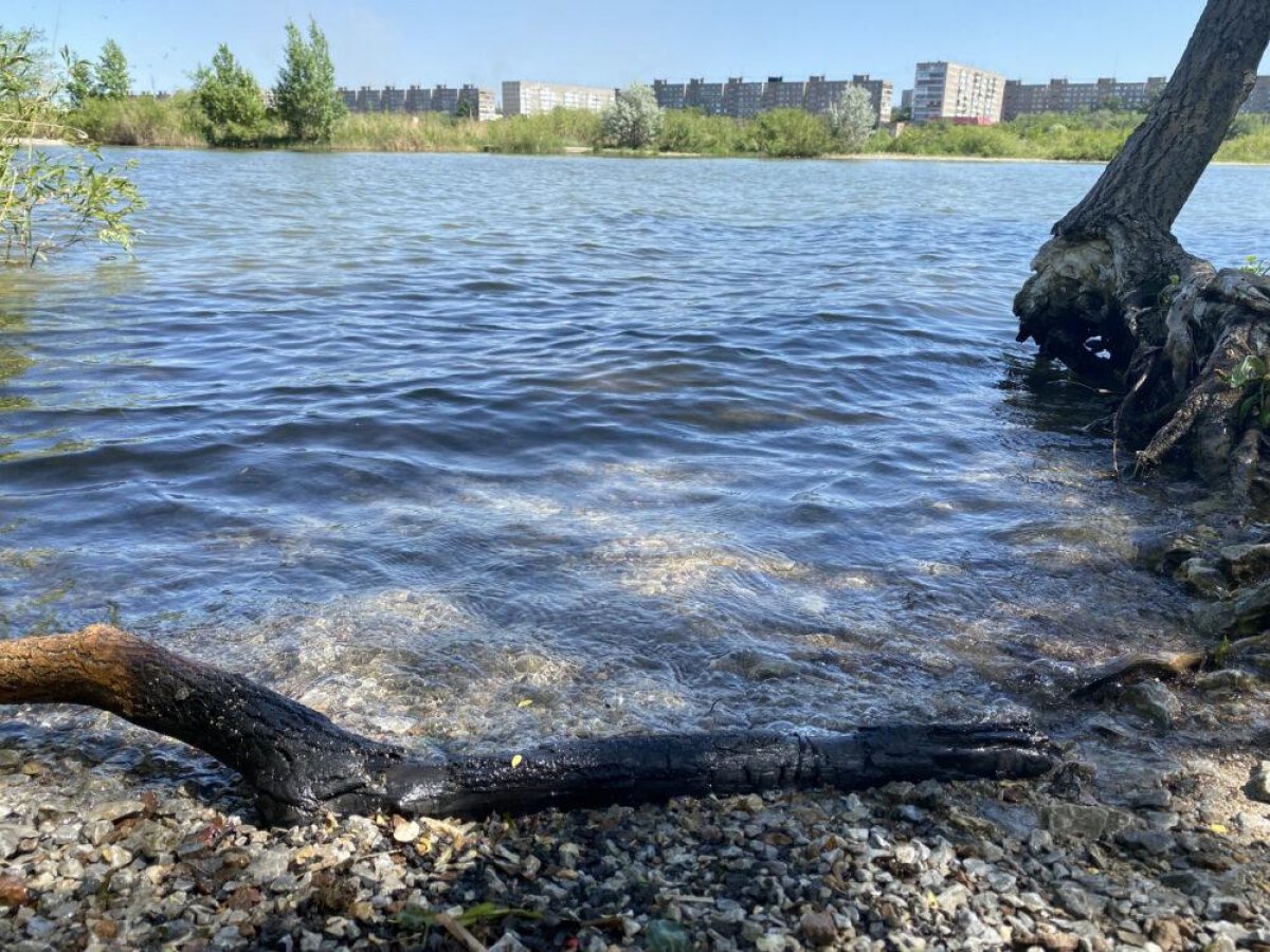 Казахстанцам можно забыть о зонтиках - синоптики о погоде на выходных