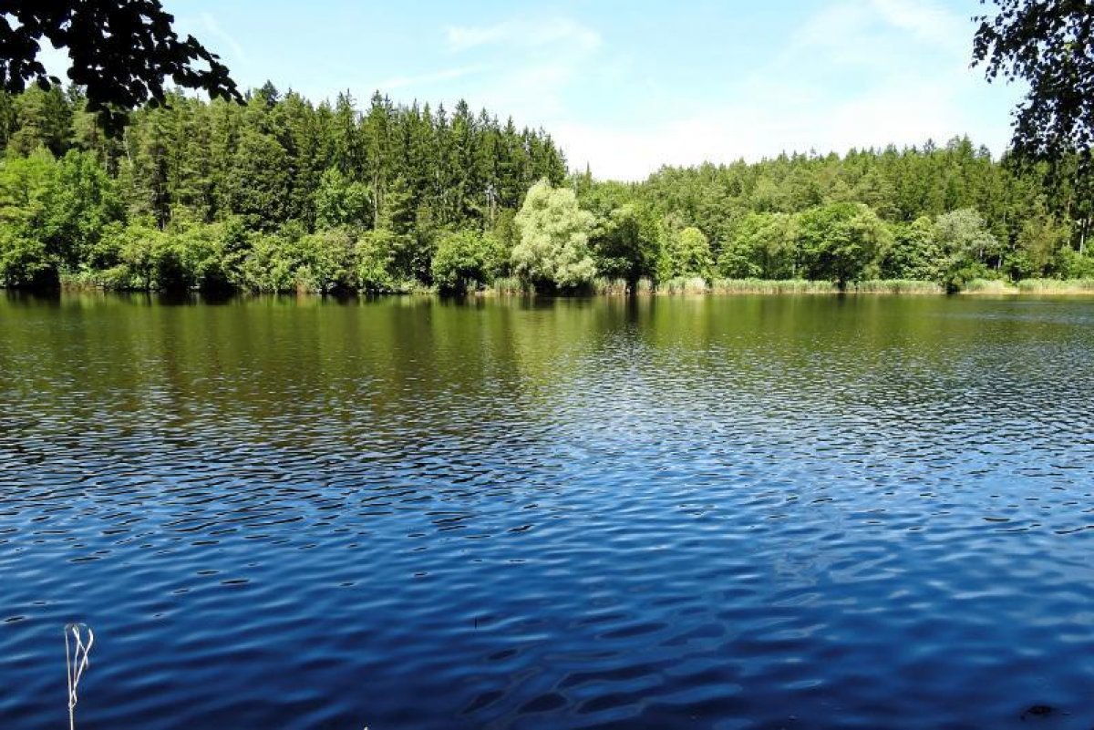 Река унесла восьмилетнюю девочку в СКО