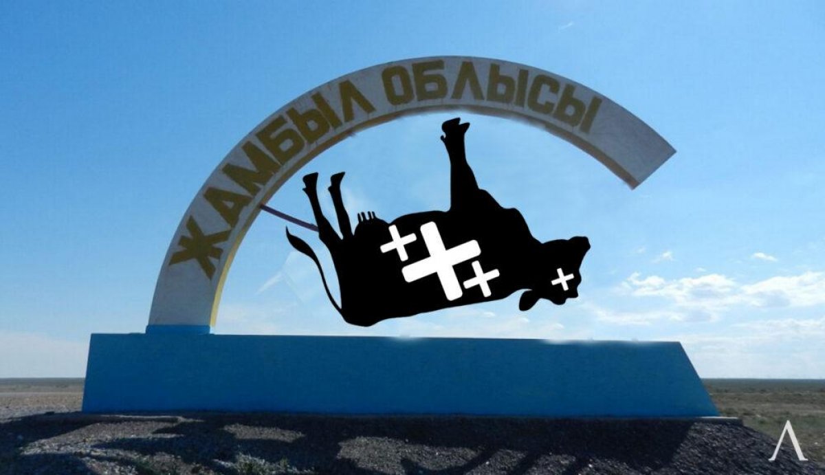 В Жамбылской области массово гибнет скот