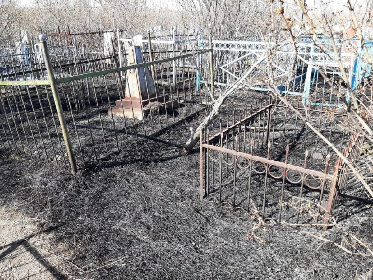 Крупный пожар произошел на кладбище в Караганде