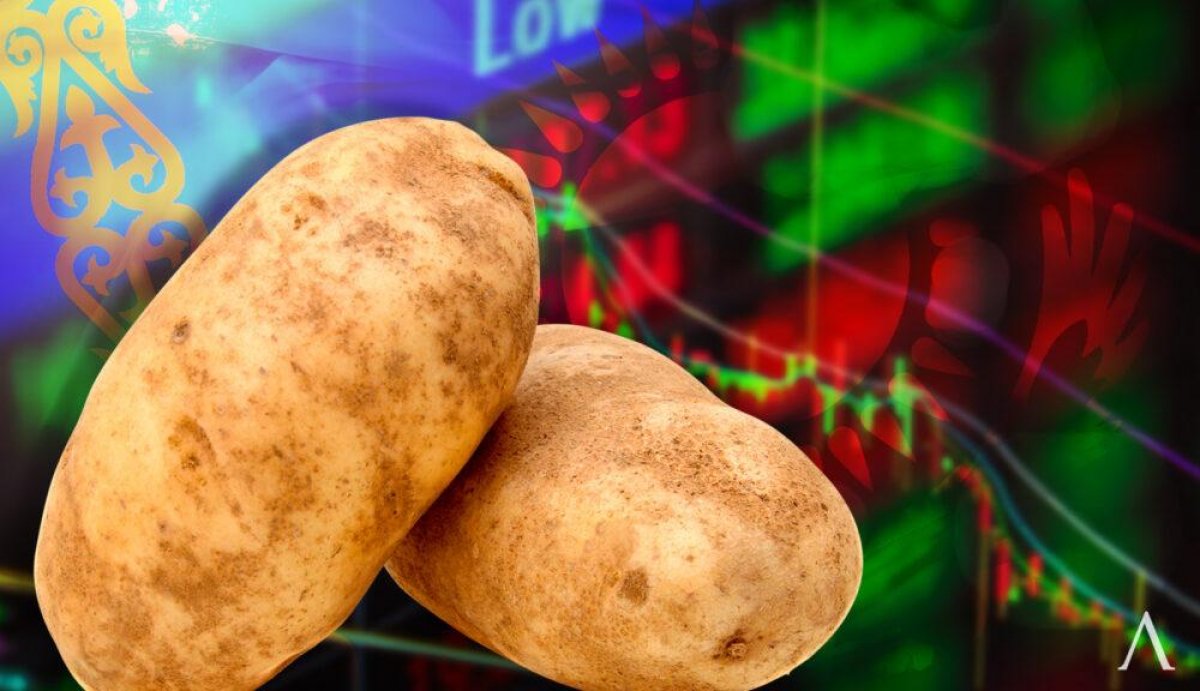 Токаев поручил разобраться с высокими ценами на продукты