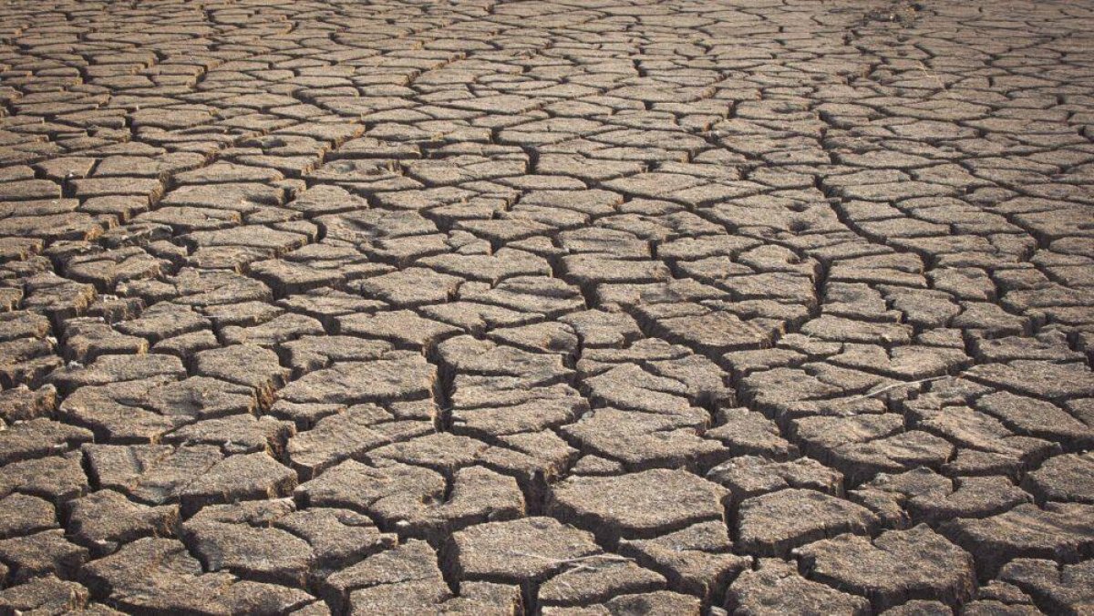 Борьба с засухой на контроле Аграрного совета при партии Nur Otan