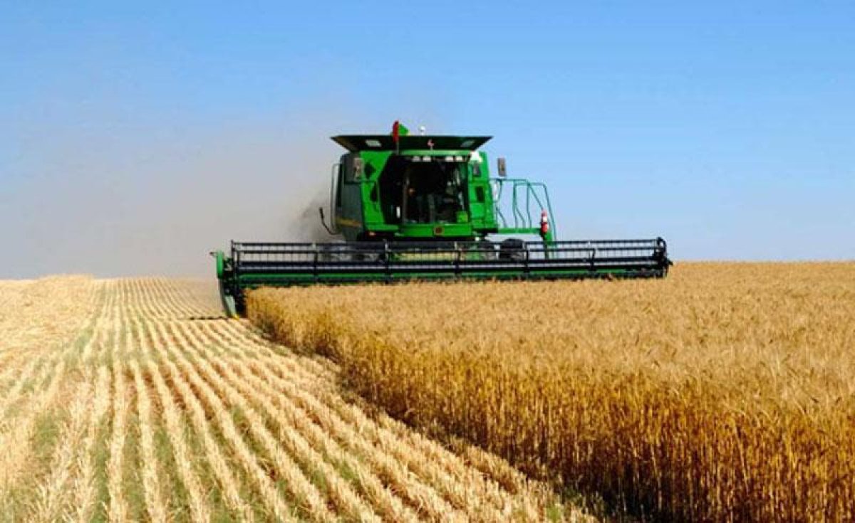 Больше микрокредитов фермерам