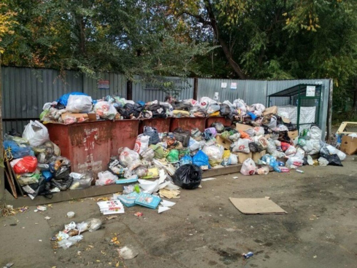 В Актау пожаловались на переполненные мусорные баки. Коммунальщики заявили, что в этом виновны туристы