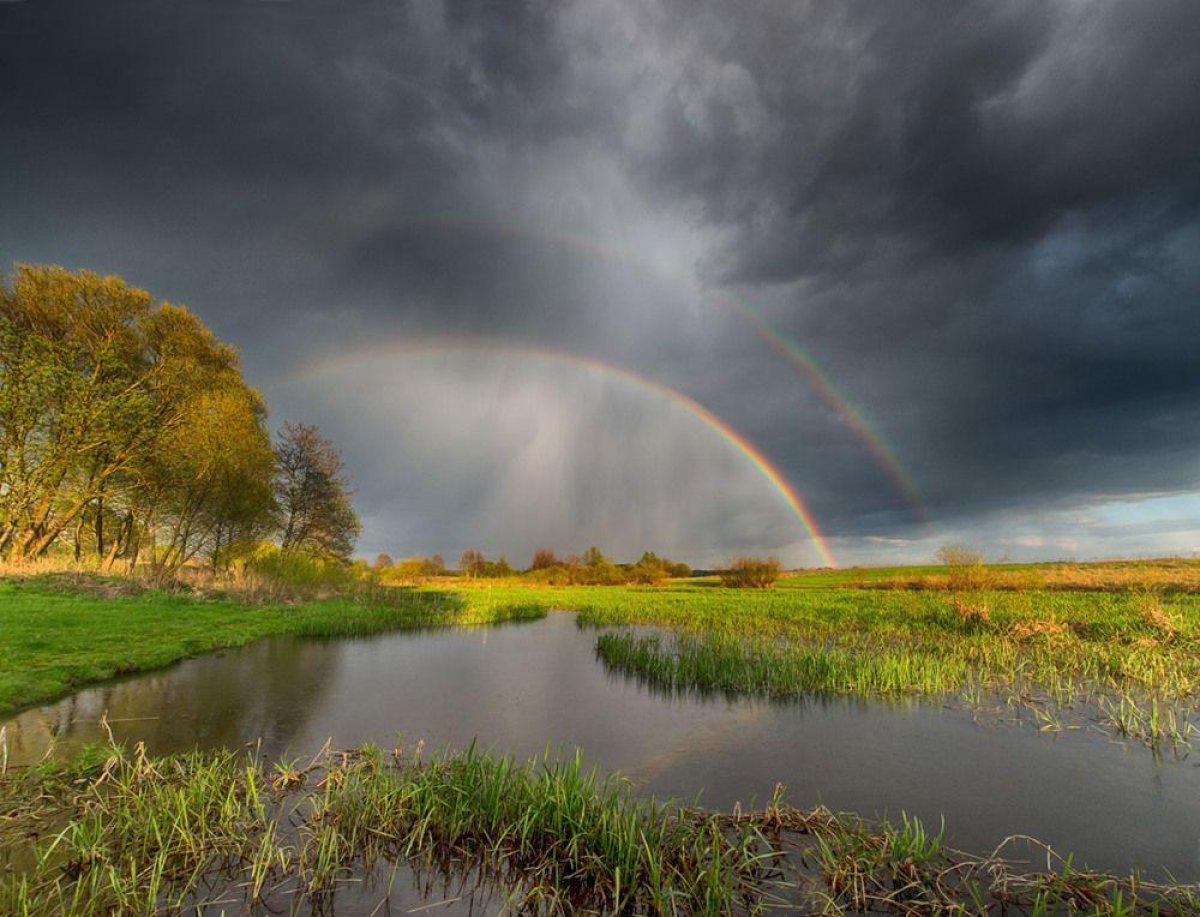 Картинка прекрасная погода. Природа дождь. Дождь и солнце. Природа после дождя. Солнце после грозы.