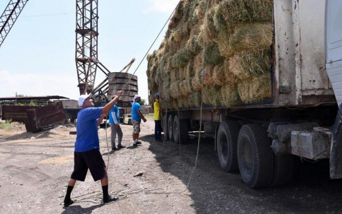 Нуротановцы отправили в Мангистау корм для голодающей скотины