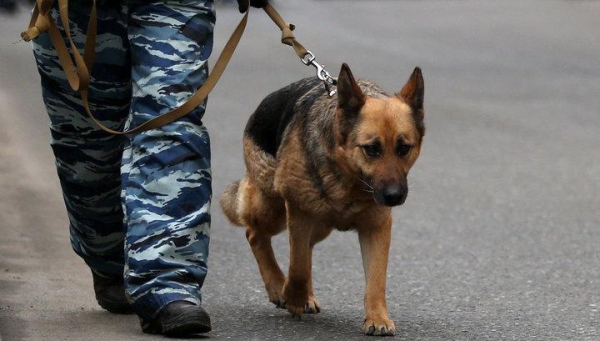 Мужчина заявил о бомбе на заводе, желая отомстить бывшему начальнику в Атырау