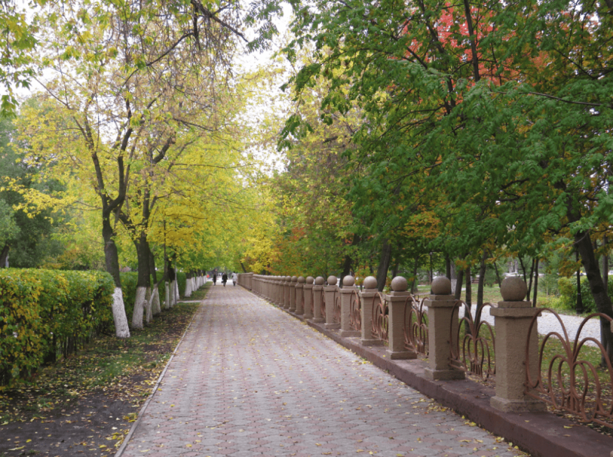 Улица Петропавловска достойна Книги рекордов Гиннесса
