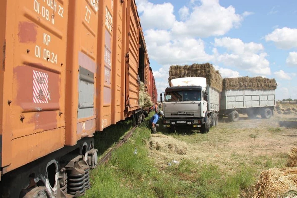#BizBirgemiz: Нуротановцы помогают пострадавшим от засухи фермерам