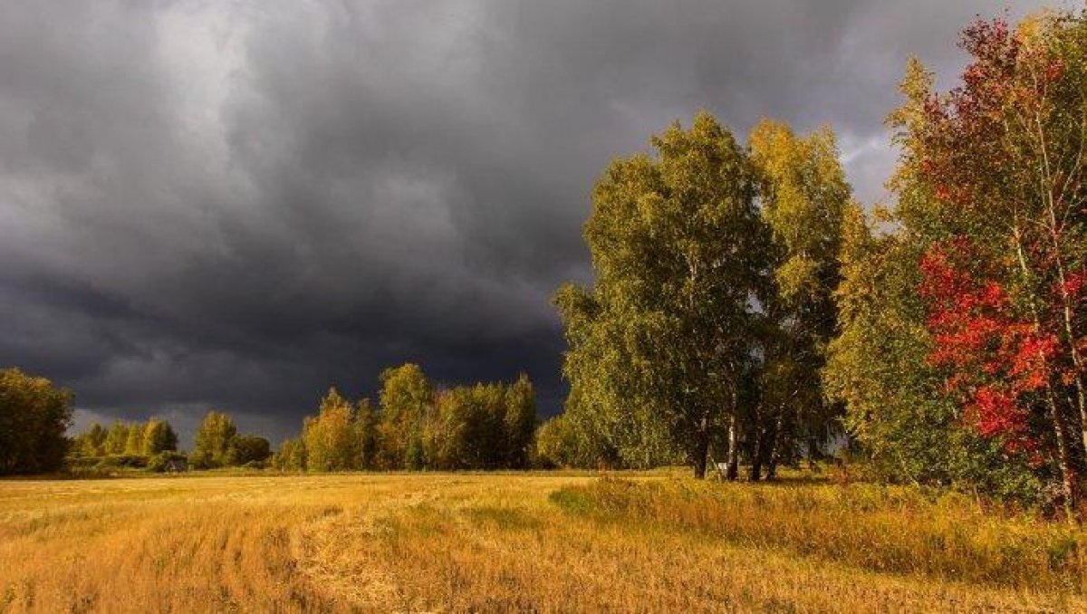 В Казахстане похолодает до +7 градусов