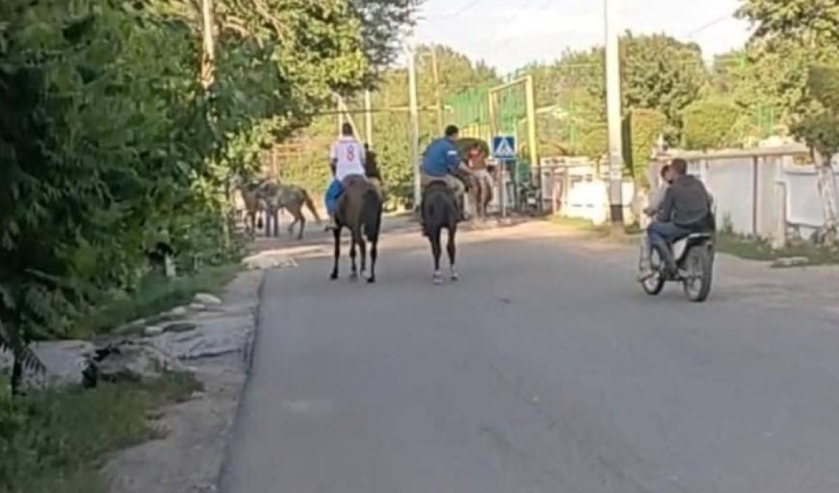 Казахстанские подростки устроили кокпар с козленком. Шокирующее видео  обсуждают в Сети