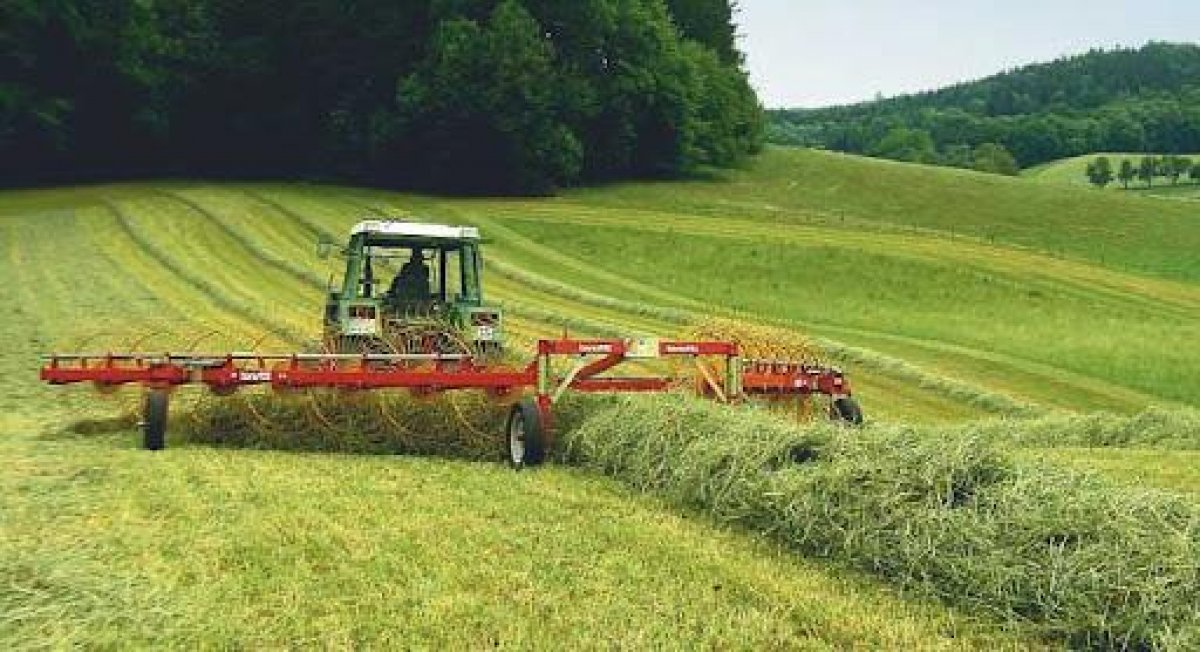 Заготовка кормов – на контроле