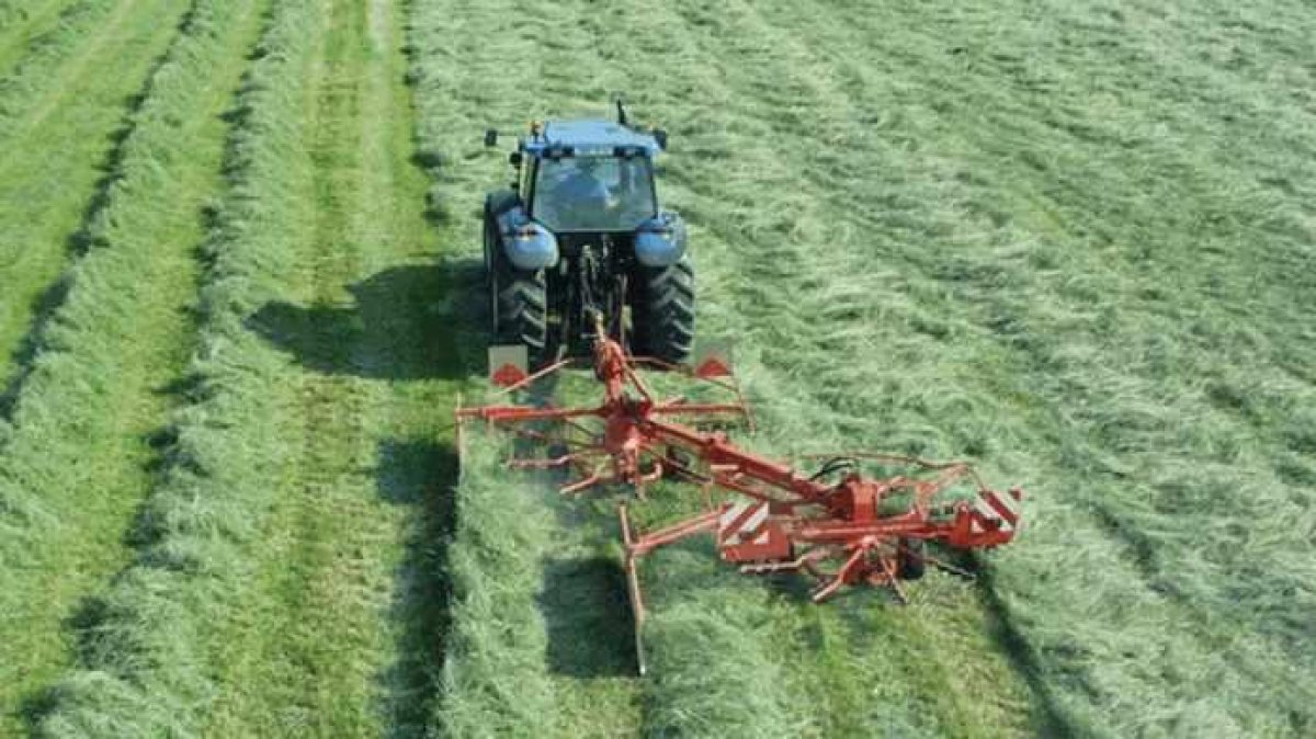 Как на «войне»