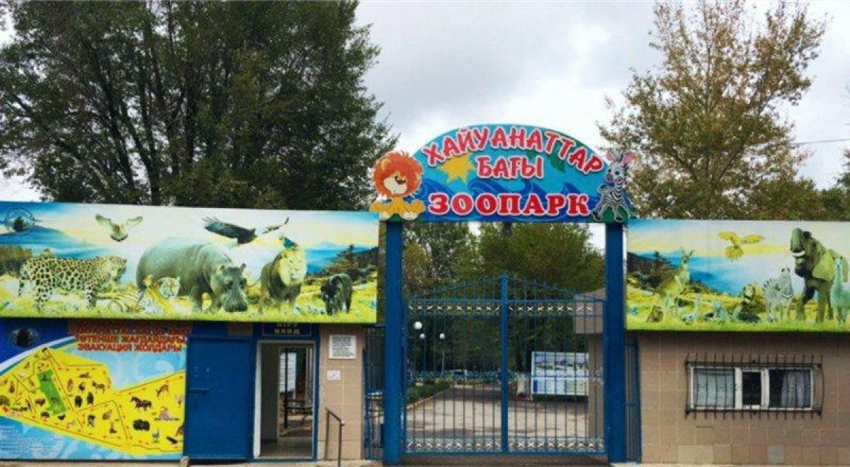 Карагандинский зоопарк Караганда директор