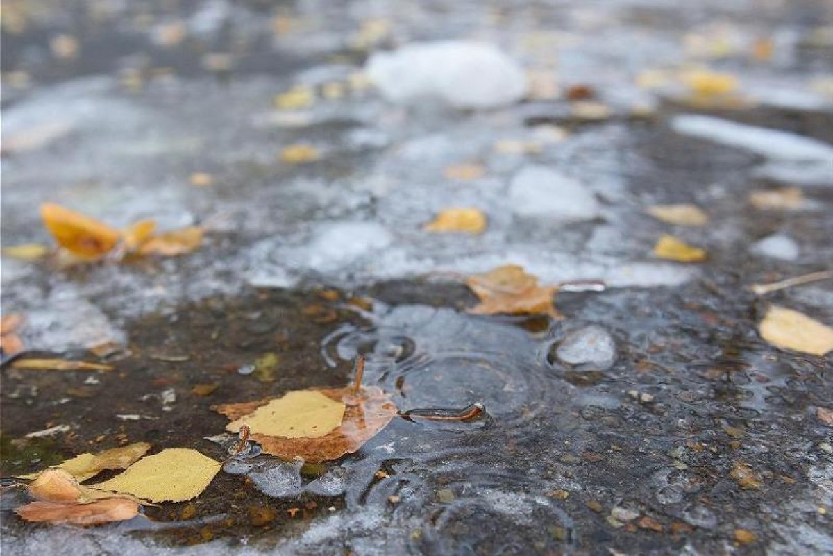 Снег и гололед: прогноз погоды в Казахстане