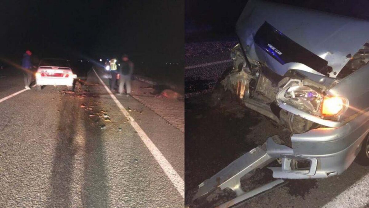 Житель Кокшетау насмерть сбил отару овец