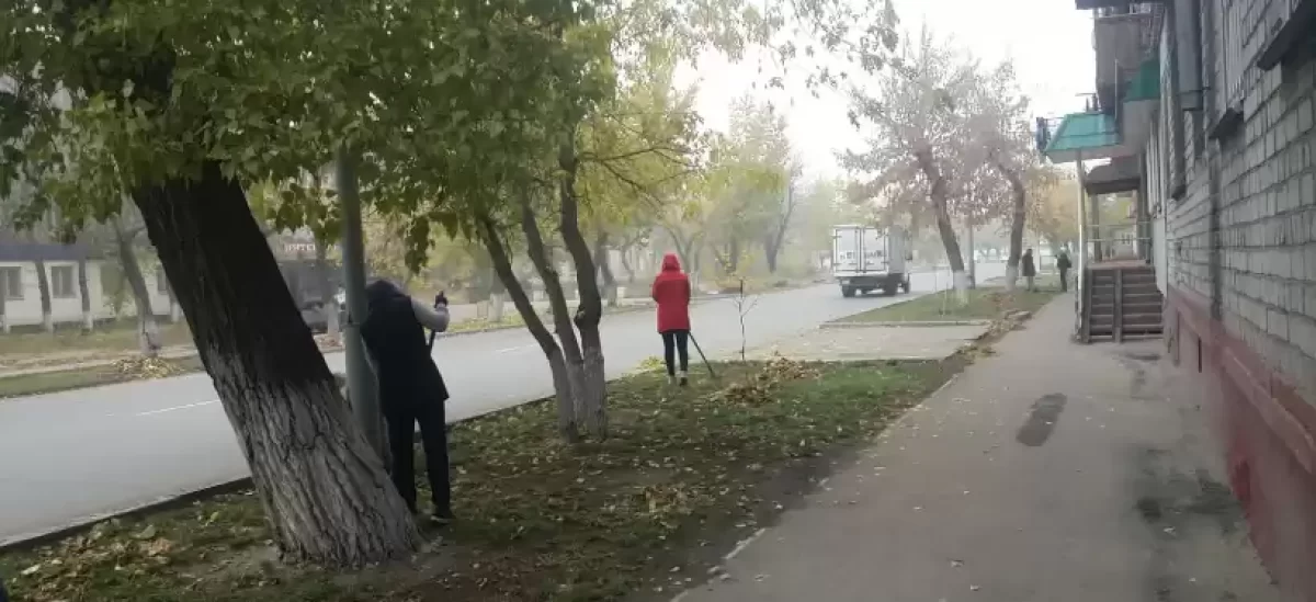 В Семее учителей сняли с уроков и заставили подметать улицы