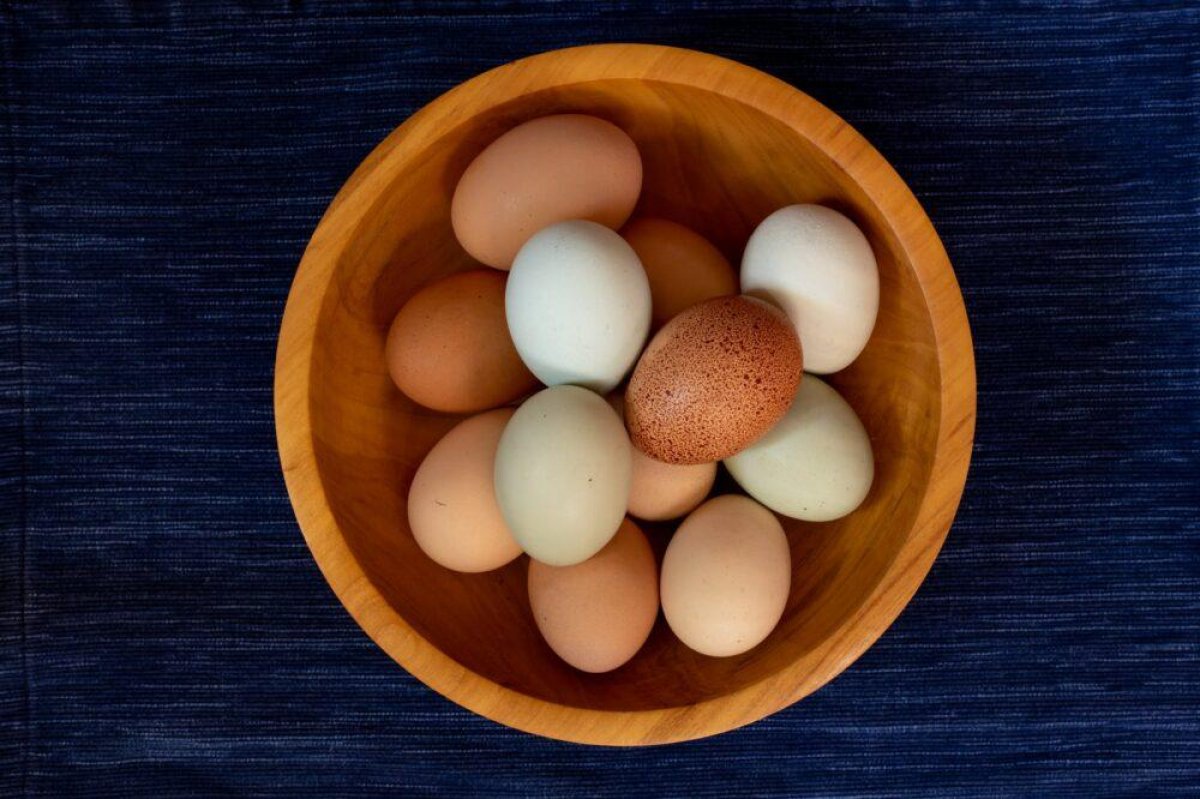 Какие яйца лучше купить. Цвет яиц. Рябой цвет яиц. Цвет яйца Малиновки. Яркие цветные яйца.