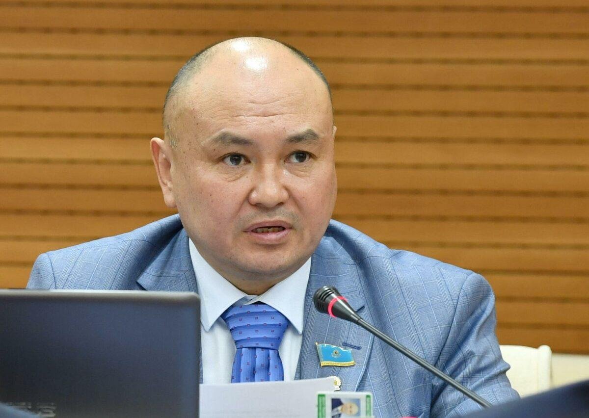 Как Казахстану оставаться независимым - Ерлан Саиров