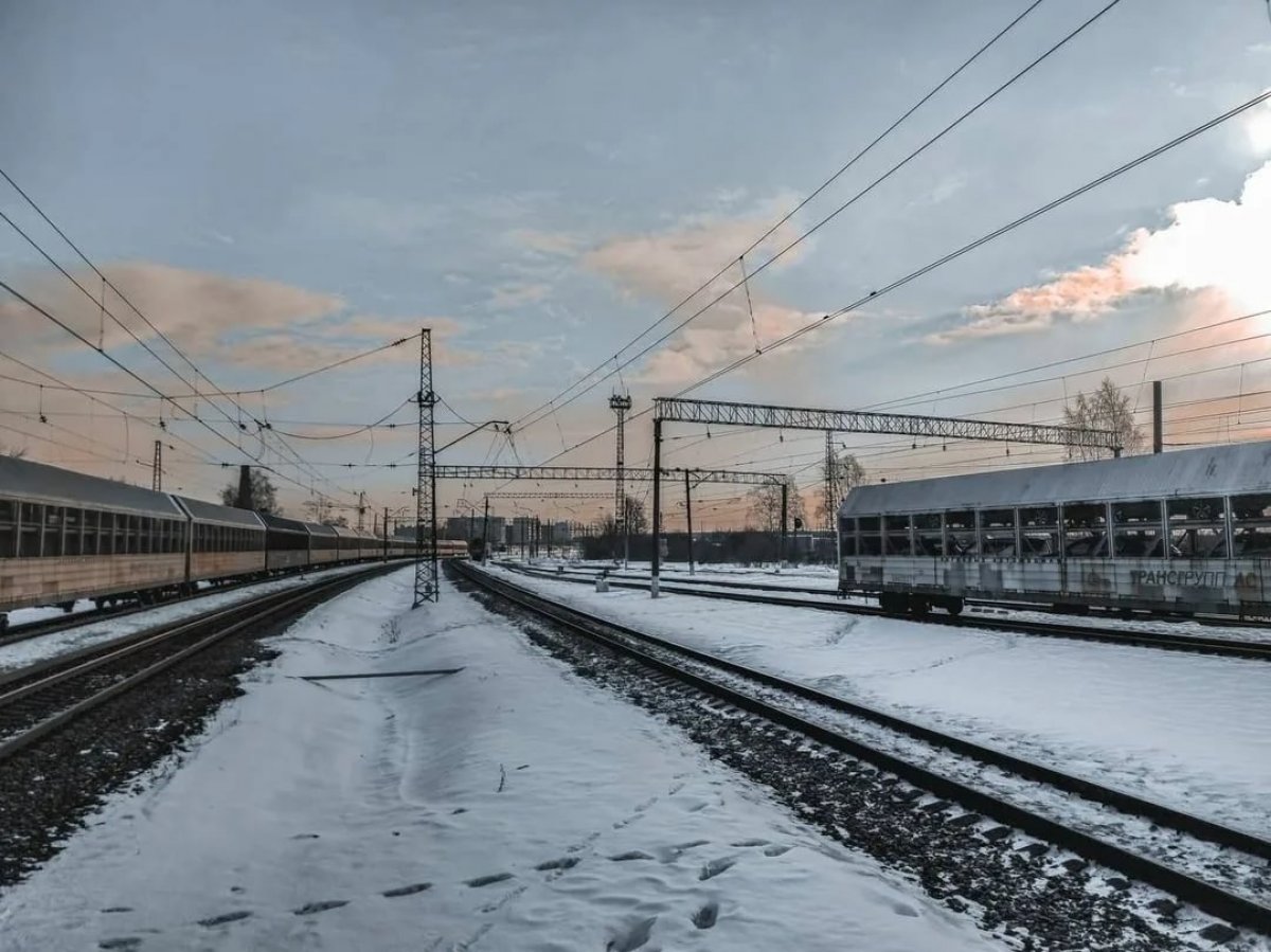 Женщину пытались изнасиловать в поезде в Семее