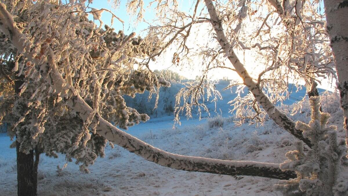 Штормовое предупреждение объявили в 11 областях Казахстана