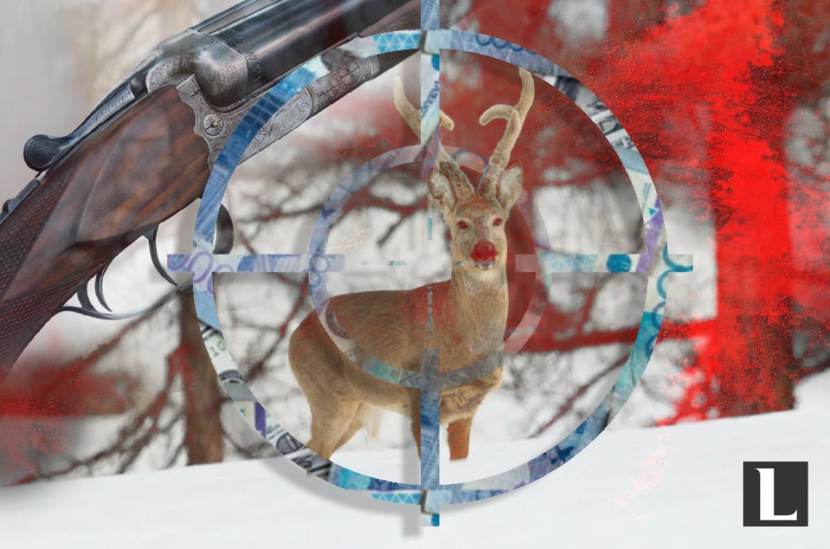 В ВКО поймали браконьера, отстреливавшего редких животных