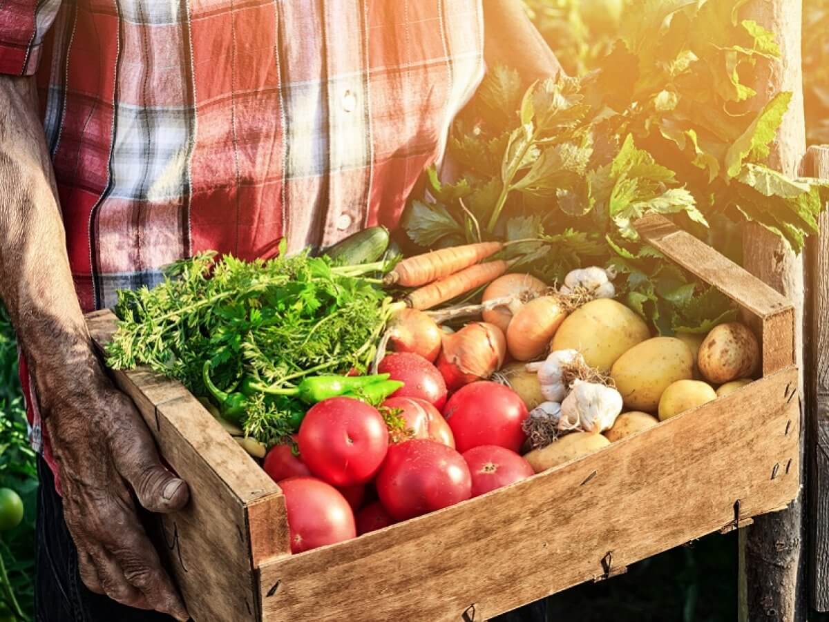 Нужна «Национальная комиссия по продовольственной безопасности» при Правительстве