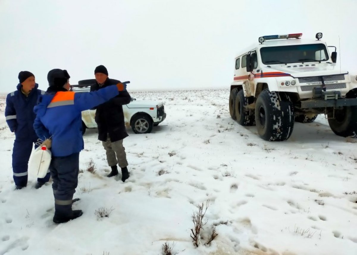 Пожилого пастуха две недели ищут в Атырауской области
