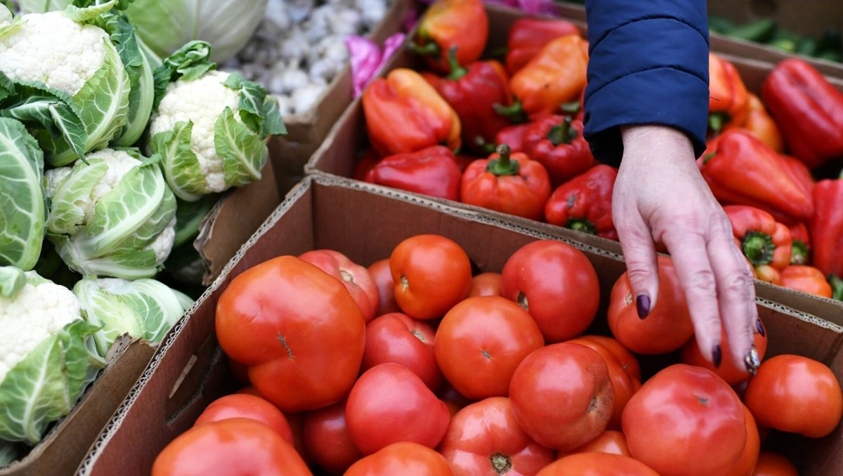 Павильоны с соцпродуктами в Усть-Каменогорске возьмут под видеонаблюдение