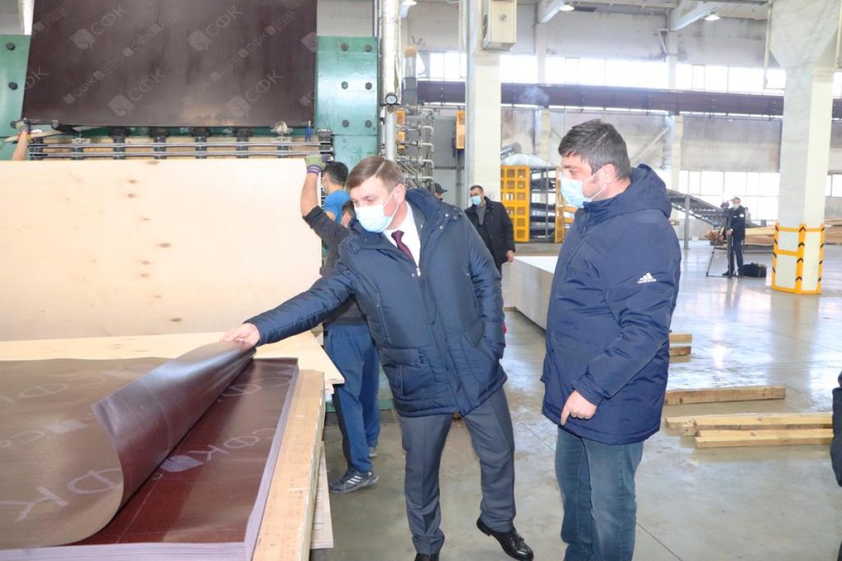 Мажилисмены пообещали разобраться в проблемных вопросах фанерного комбината в СКО