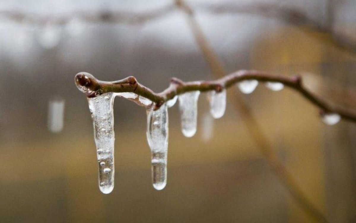 Какая погода ждет казахстанцев в первые дни весны