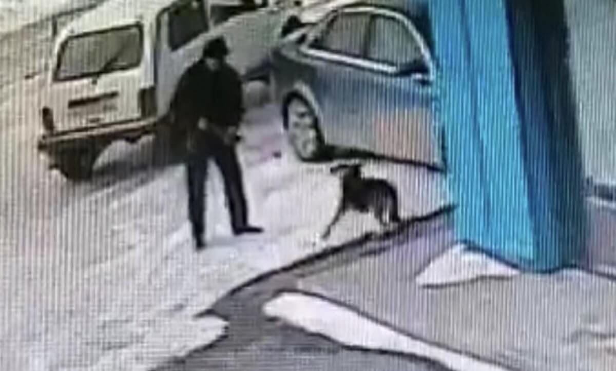 В ЗКО распространилось видео акима с винтовкой в руках