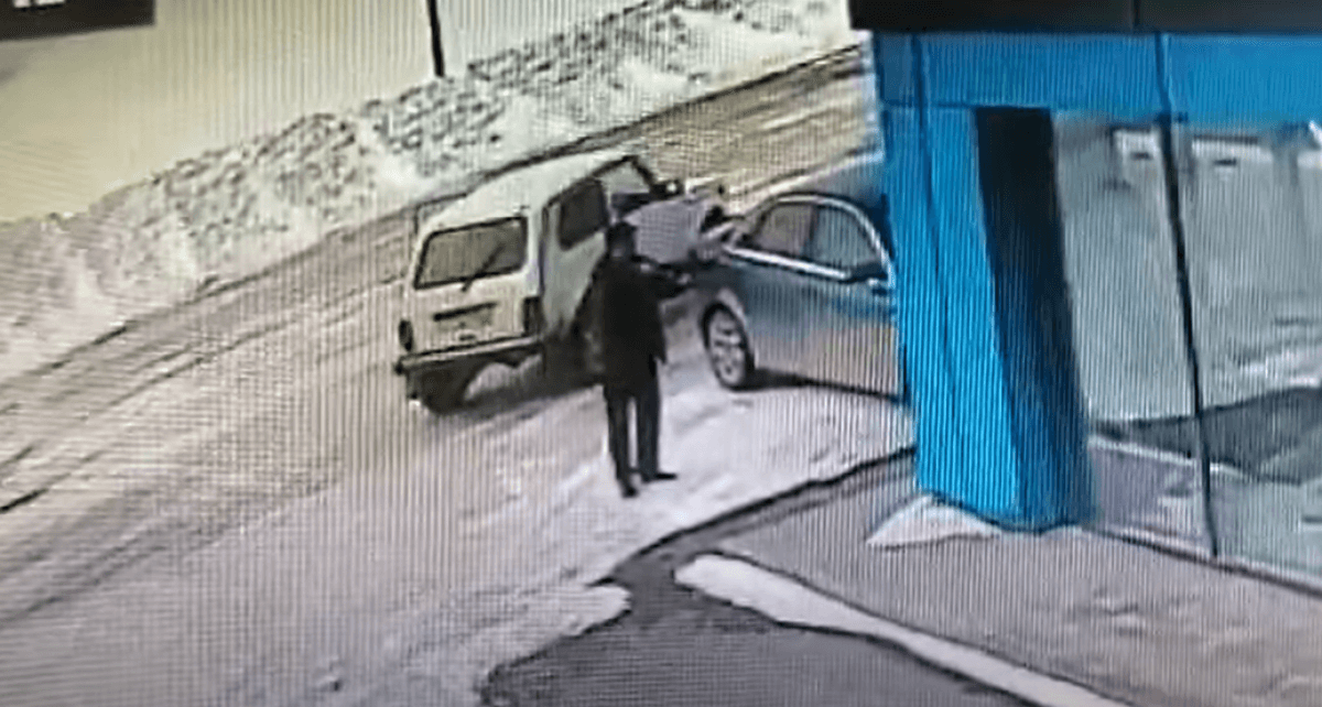 Аким стрелял в бродячих собак: полицейские не нашли никаких правонарушений