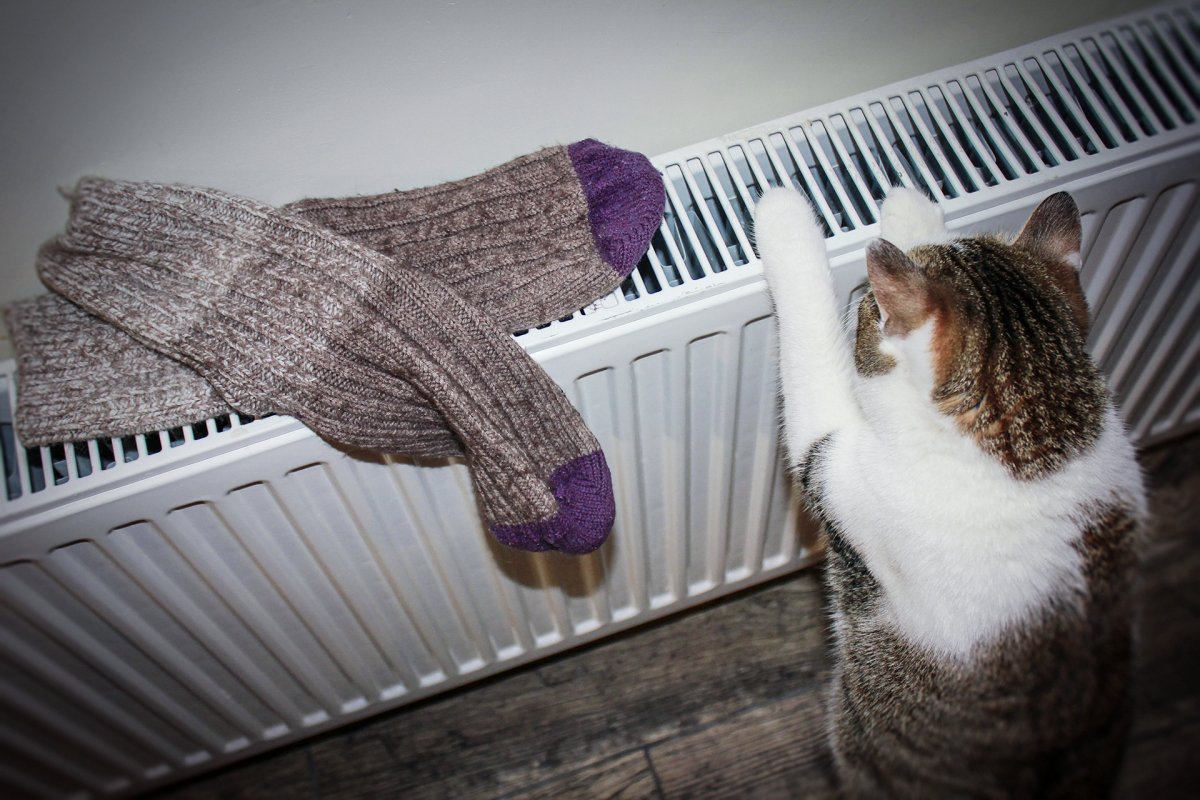 В ряде регионов пересмотрят тарифы на электроэнергию после 1 июля