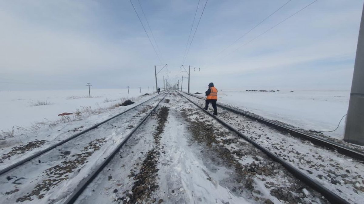 Грузовой поезд раздавил табун лошадей близ Нур-Султана