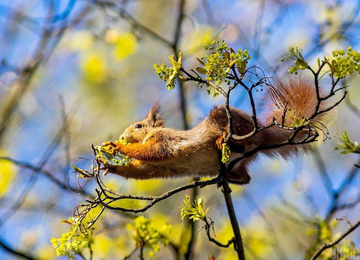 Синоптики рассказали, какая погода ждет казахстанцев 6 апреля